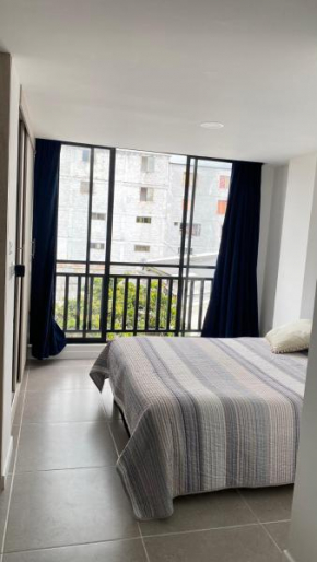 Mirla serrana 406